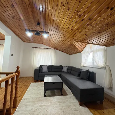 Liva Kartal Villa