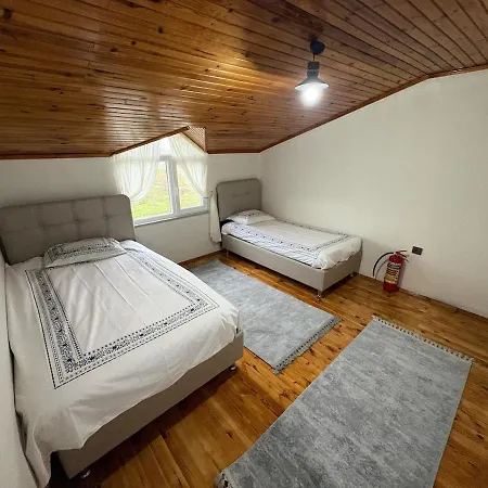 Liva Kartal Villa *